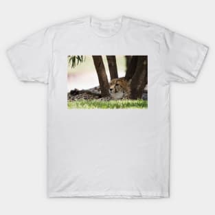 Resting Cheetah T-Shirt